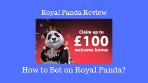 Royal Panda Review How to bet on Royal Panda